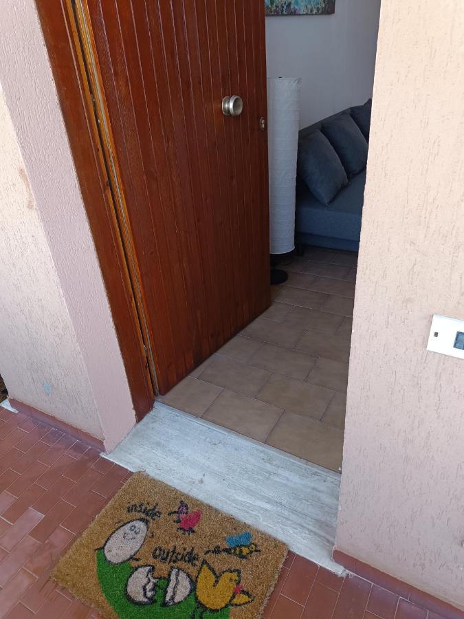 La Casina Accogliente Apartment Pisa Exterior photo